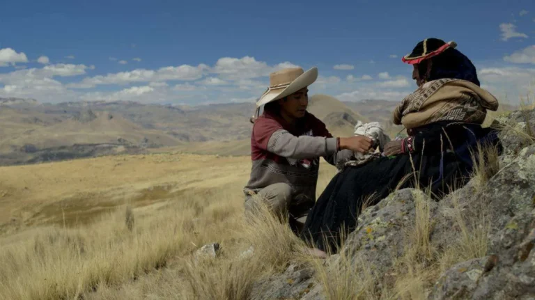 Kinra ganador Festival Cine Mar del Plata