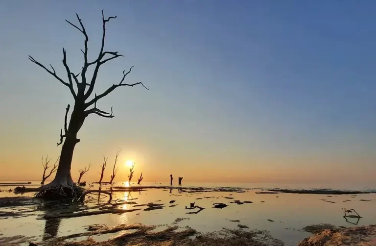 ONG aporta Parque Nacional Ansenuza