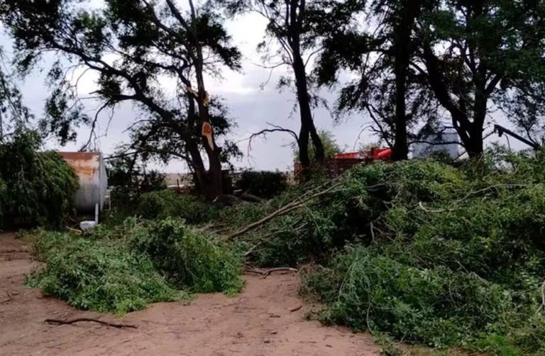 Cola de tornado produce destrozos en el sur cordobés