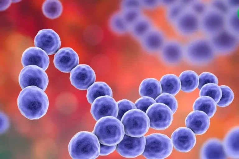Alerta por el Streptococcus pyogenes