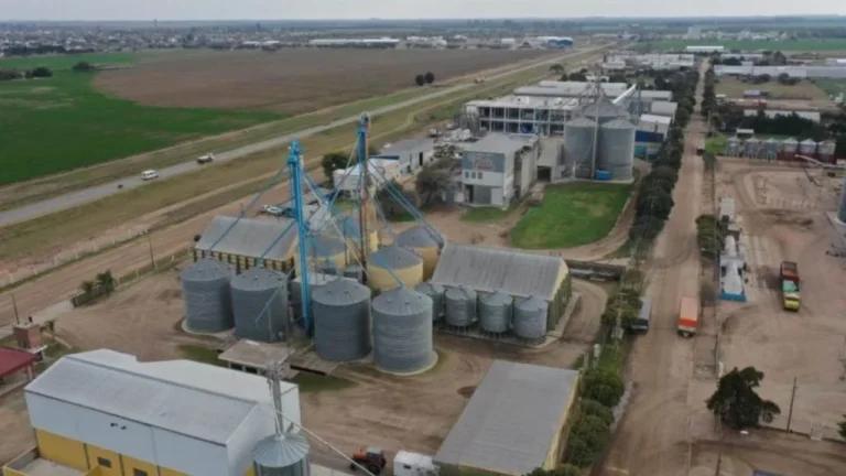 Muere camionero del Chaco mientras esperaba cargar