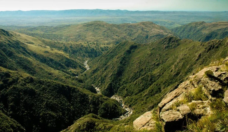Reservas y áreas naturales protegidas