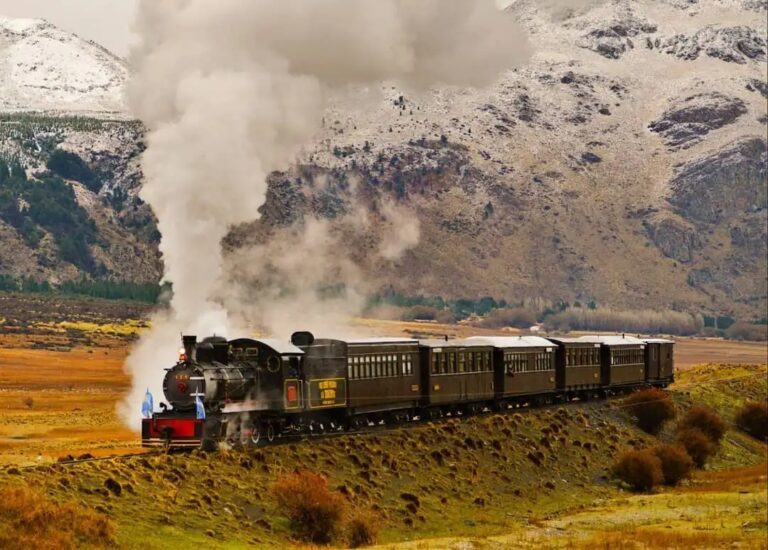Uno de los trenes más emblemáticos de Argentina ahora es pet friendly