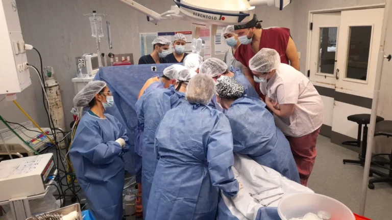 Aumenta la donación de órganos en Córdoba