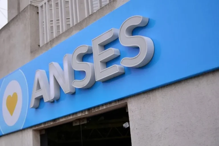 Denuncian 320 despidos en Anses