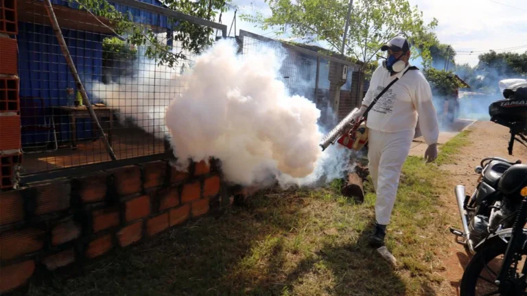 Aumento preocupante de casos de dengue en la provincia de Misiones