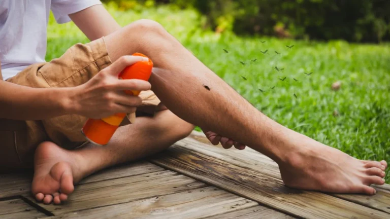 Conicet crea filtro solar con repelente 