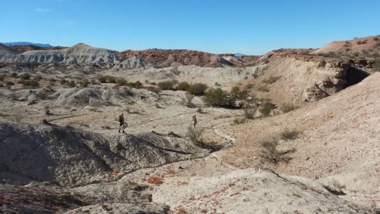Investigadores descubren en el Parque Nacional Talampaya, en La Rioja, restos fósiles.