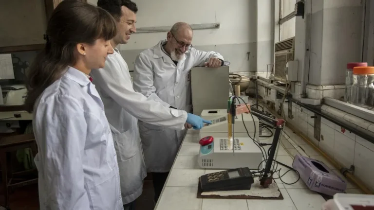 Conicet: Investigar sin becarios