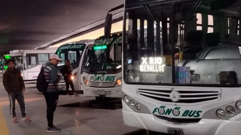 Aoita ratifica paro de transporte