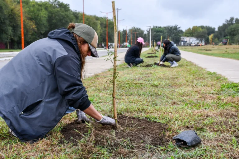 Forestación en Pilar