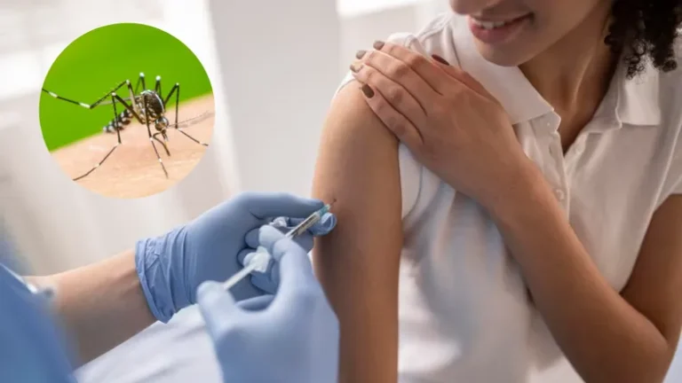 La Provincia anunció que vacunará contra el dengue