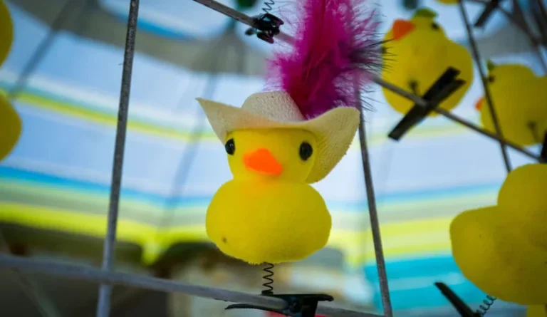 Patitos amarillos, la nueva buena onda