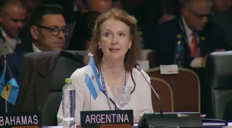 Mondino pidió en la OEA una solución al conflicto de Malvinas