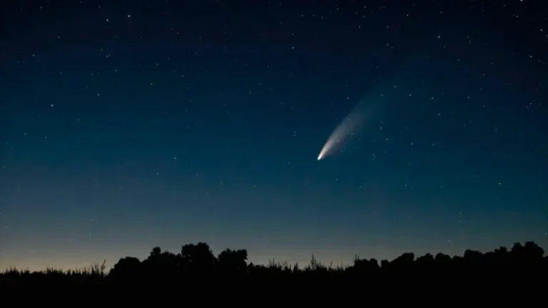 Cometa único en el cielo argentino