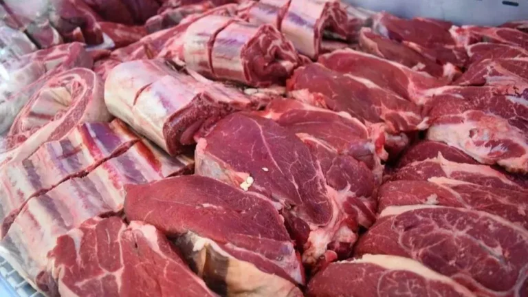 El consumo de carne vacuna en junio fue el más bajo de los últimos 19 años