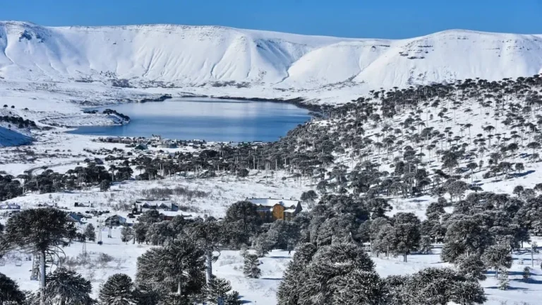 Secuestraron 800 kilos de cocaína en Neuquén