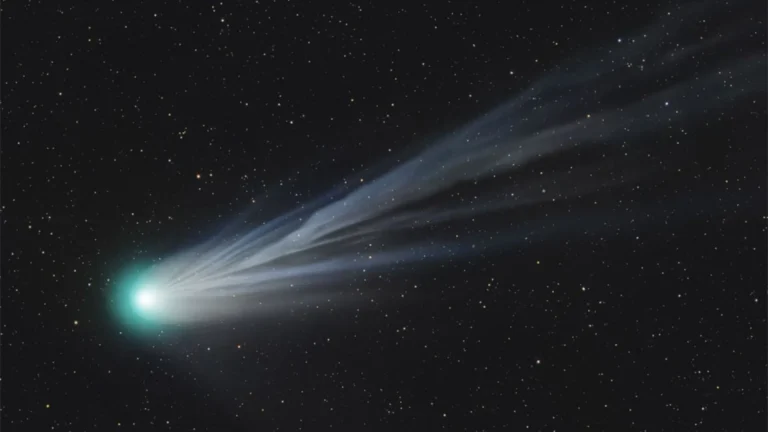 Un nuevo cometa maravilla a los astrónomos