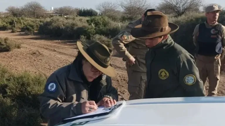 Detenidos por caza ilegal de ñandúes