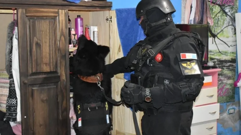 Desbaratan banda narco desde cárcel Río Cuarto