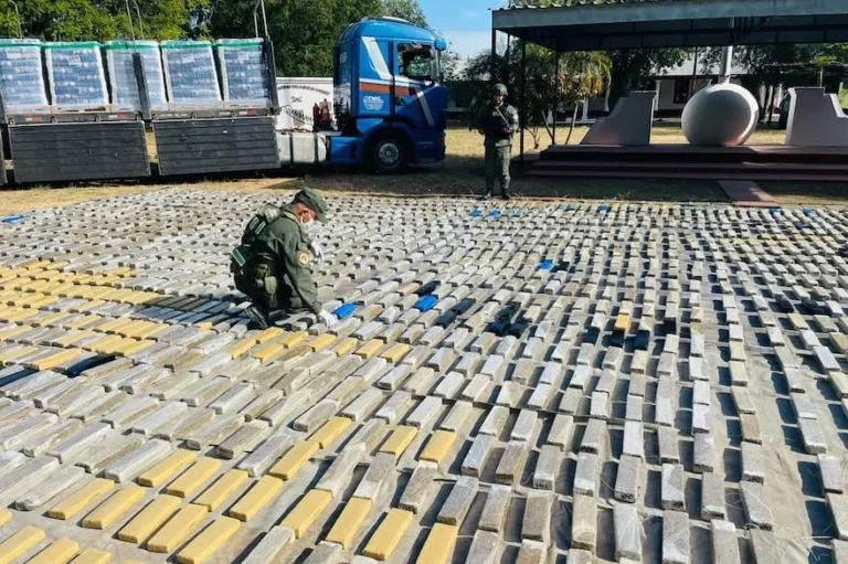 Hallaron más de dos toneladas de marihuana en Formosa