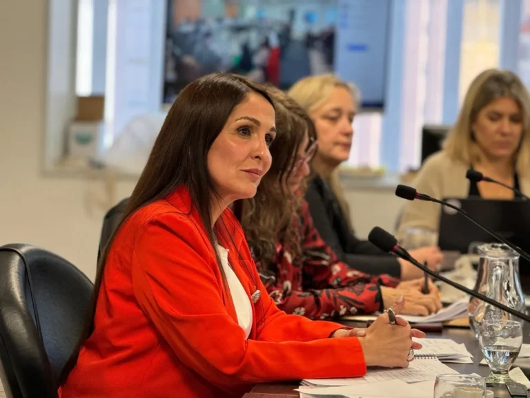 Primeros pasos en la Unicameral del Proyecto Ley Museos