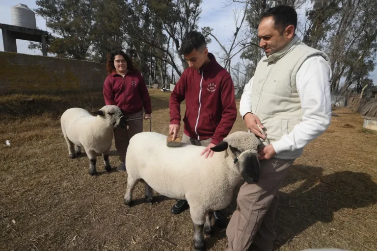 IPEA 291: el colegio cordobés premiado en la Expo de Palermo