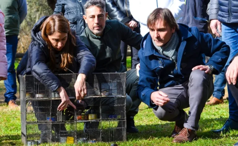 La Reserva Francisco Tau celebró su aniversario con forestación y suelta de aves