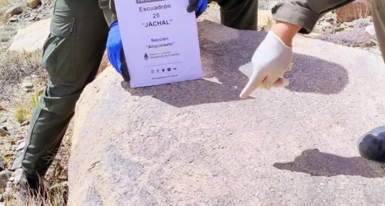 Gendarmes descubren petroglifos y material lítico en Angualasto