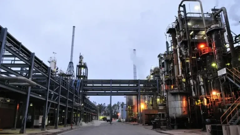 Petroquímica Río III: Son 252 los trabajadores afectados por el cierre
