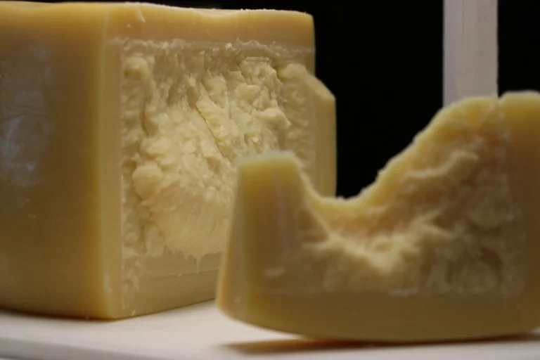 Concurso Nacional de Quesos: cordobeses destacados