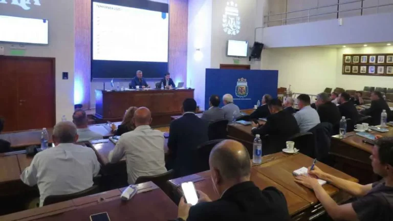 Así será el formato para la Liga Profesional de Fútbol 2025