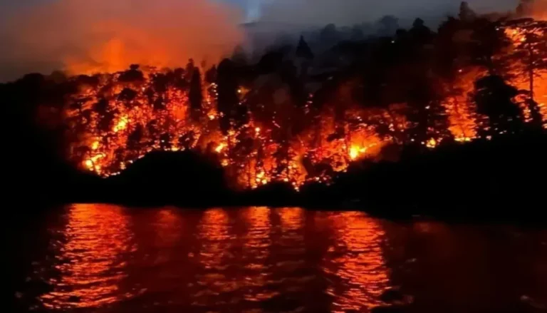Incendio en Nahuel Huapi
