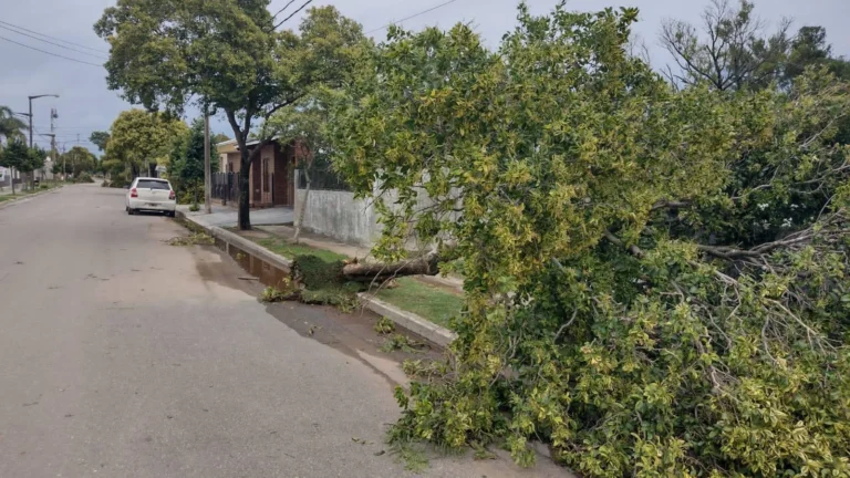 Fuerte temporal pasó por Luque