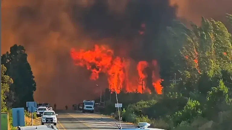Un incendio forestal generó preocupación en El Bolsón