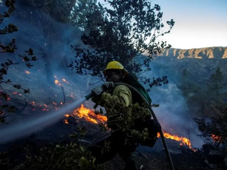 Los incendios en California ya dejaron 11 muertos y 35 mil hectáreas quemadas