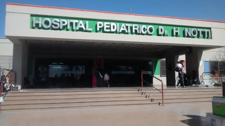 Tragedia en Mendoza: una niña murió electrocutada en una pileta