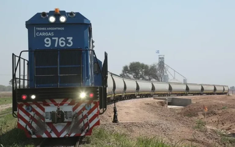 El Gobierno decretó la privatización de la empresa Belgrano Cargas