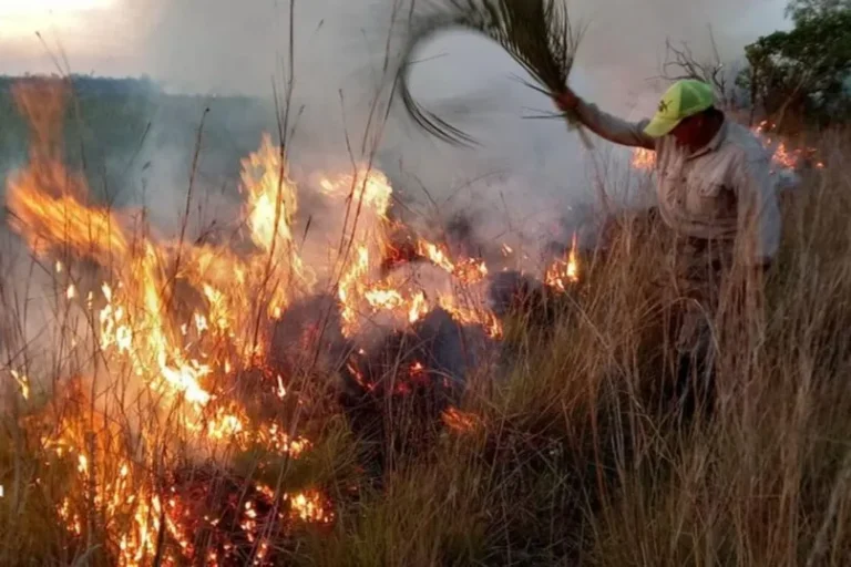 Los incendios también asolan Corrientes