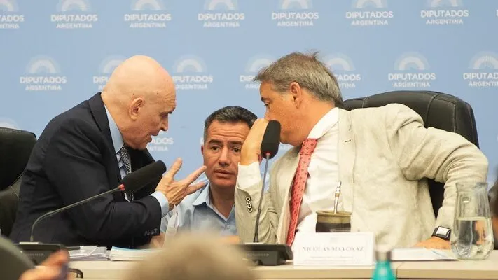 Diputados debatirá mañana la suspensión de las PASO