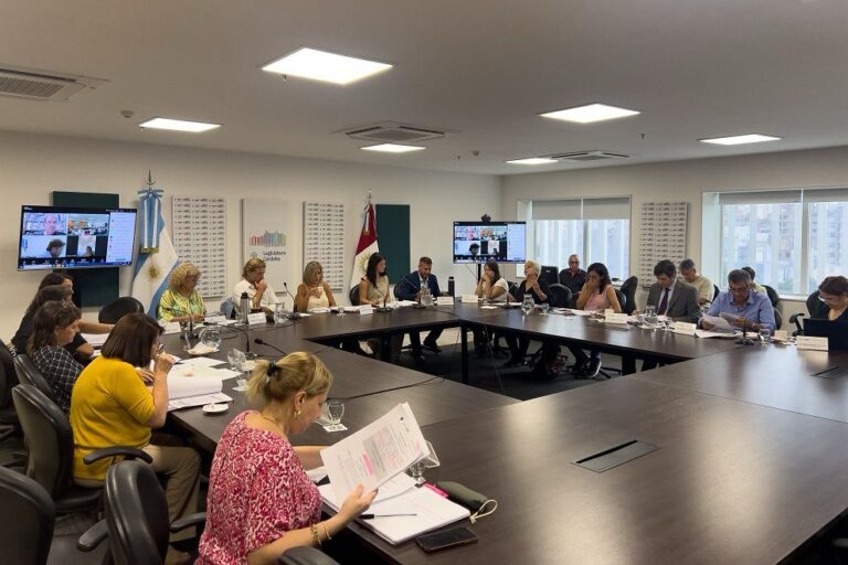 La Legislatura avanza en proyectos sobre niñez 