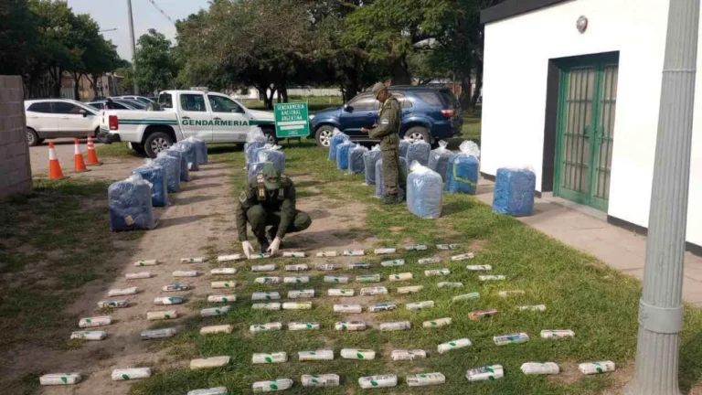 Confiscan 564 kilos de hoja de coca