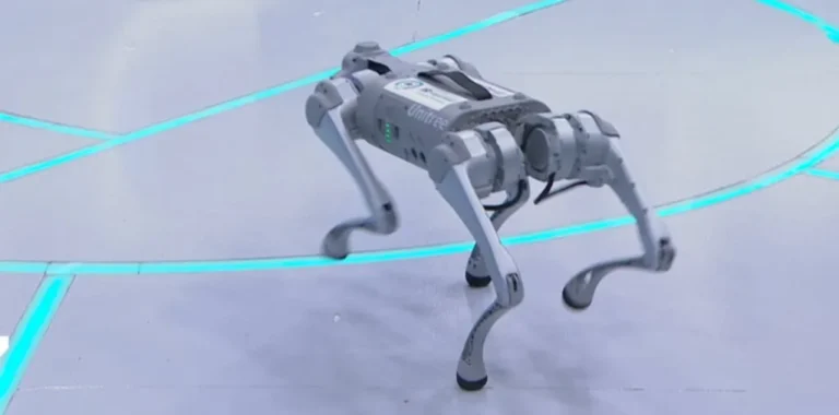 Perros robots: la nueva tendencia en Córdoba