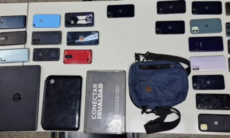Desbarataron una banda que robaba celulares en recitales