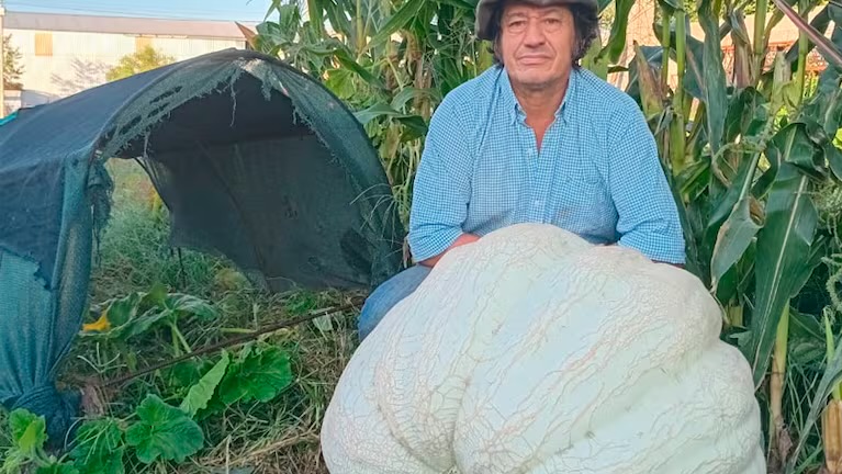 Zapallo récord en Córdoba