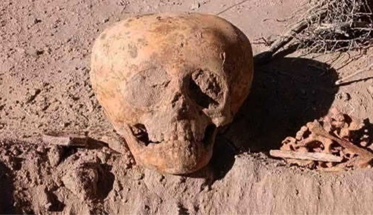 Hallan restos óseos en San Fernando 