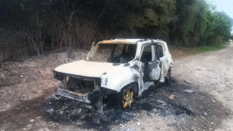 Encontraron dos cadáveres en un auto calcinado