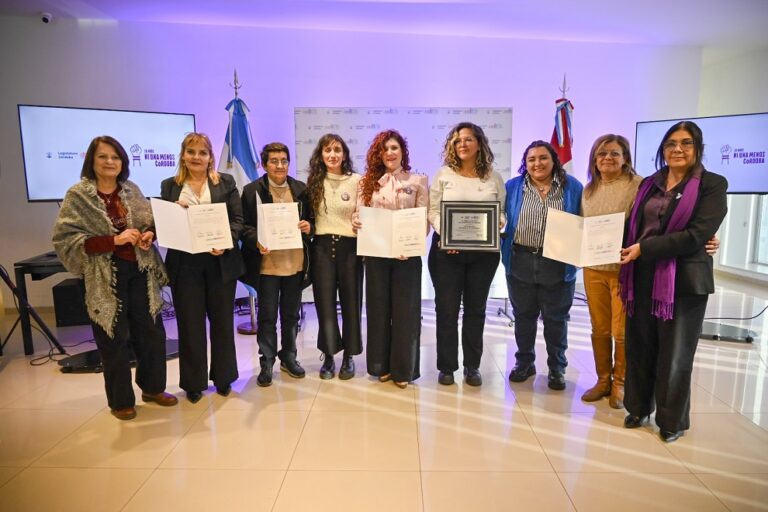 Reconocimiento de la Legislatura a “Ni Una Menos”