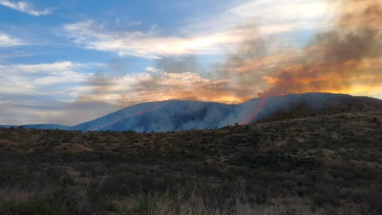 Bomberos contuvieron un incendio forestal en La Calera