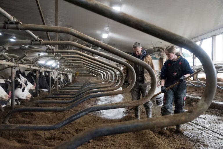 Fuerte crisis de una láctea santafesina: propuso echar 210 empleados